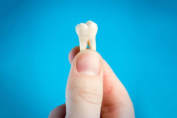 A General Dentist Helps You Decide Whether To Pull or Save a Tooth from South Florida Smile Spa, Nicole M. Berger, DDS in Pompano Beach, FL